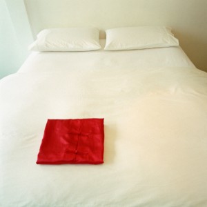 Pillow and Mattress Protectors