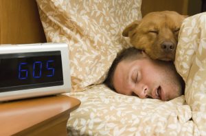  Did you know that alarm clocks may be bad for health?
